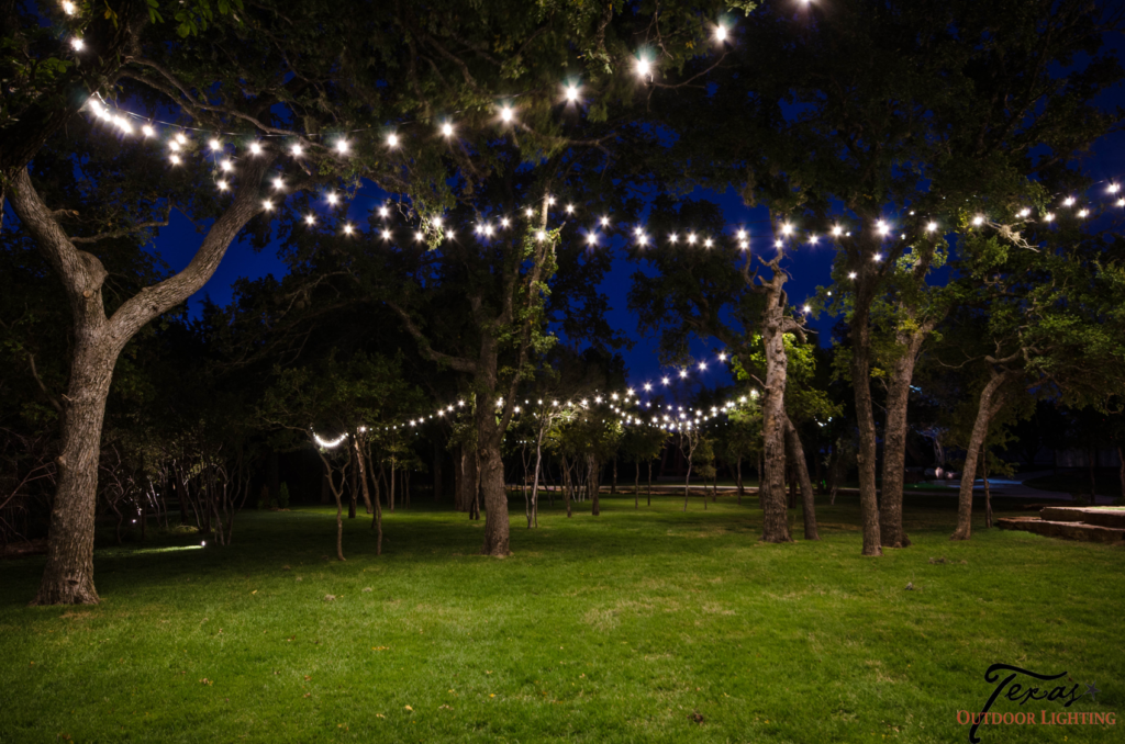 Commercial Resort Lighting bistro lighting in trees in Burnet Texas