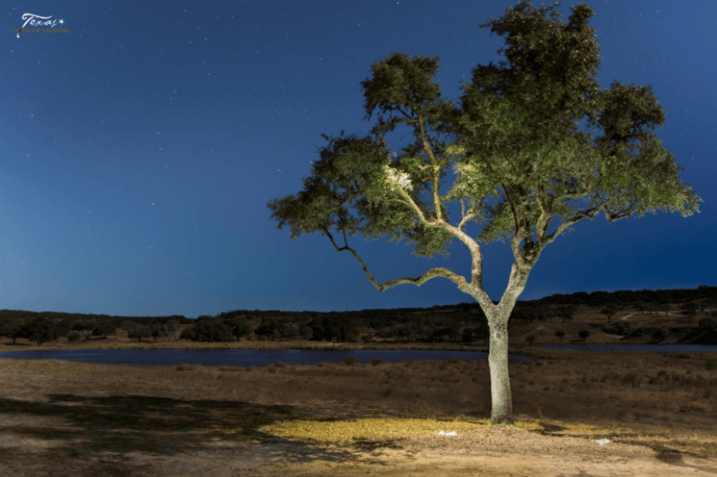 Preserving the Texas Sky